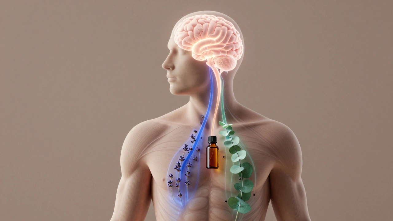 Tělo s proudy esenciálních olejů proudících k mozkové oblasti odpovědné za bolest a emoce.